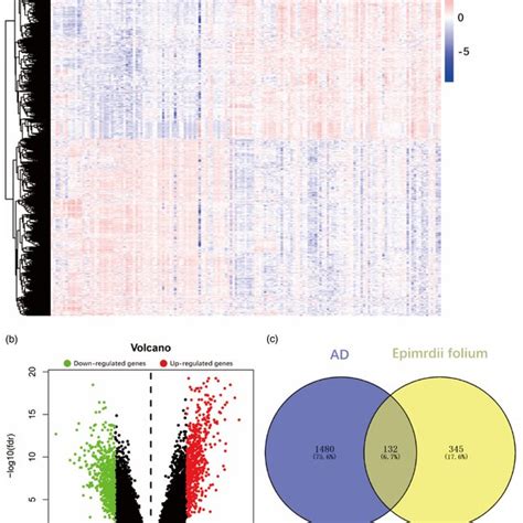 Screening Differential Genes Using The Gene Expression Omnibus GEO