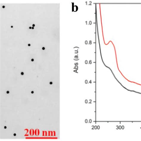 A Tem Image Of Aunps B Uvvis Absorption Spectrum Of Aunps Black