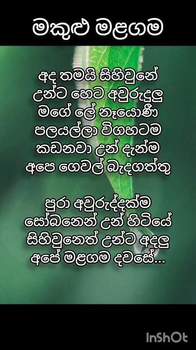 මකුළු මළගම🥺මියෙන හිරුlove Hearttouching Quotes Hearttouching