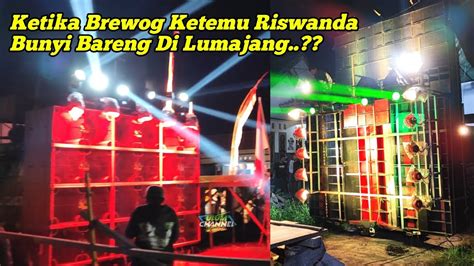 Seruu Ketika Brewog Ketemu Riswanda Bunyi Bareng Di Lumajang