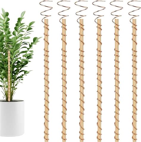 Pcs Electroculture Plant Stakes Copper Gardening Antenna Copper Wire