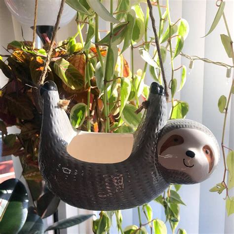 Sloth Hanging Planter Pot For Succulents Plants Etsy Succulent