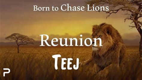 Reunion Spirit Stallion Of The Cimarron Teej Arrangement