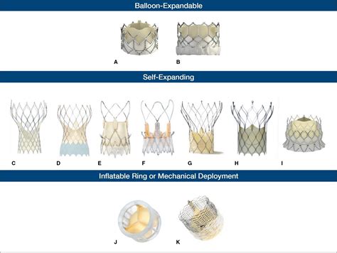 Current Tavr Devices Cardiac Interventions Today