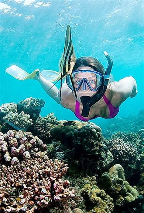 Scuba Gear Scuba Diving Snorkeling Gorgeous Women Whale Photo And