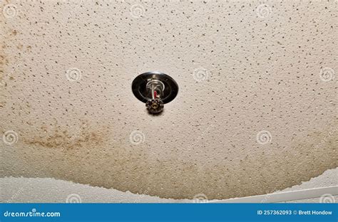 Ceiling Damage From A Water Pipe Leak In An Interior Ceiling Stock