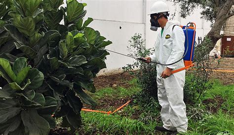 Control De Plagas Y Enfermedades Para Jardines