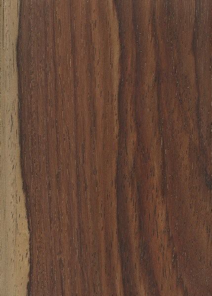 Amazon Rosewood The Wood Database Hardwood