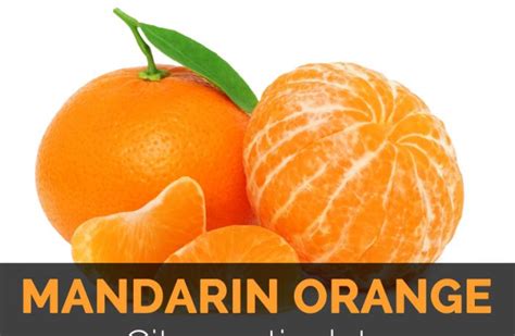 Fresh Mandarin Orange Nutrition Facts Blog Dandk