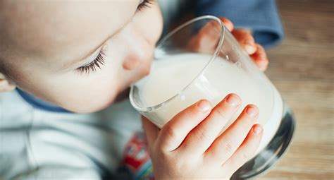 Lallergie Au Lait De Vache Opa Pratique