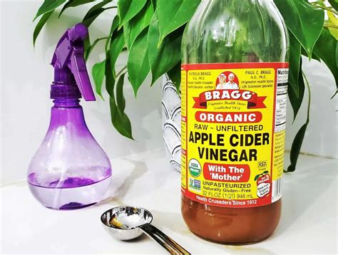 Does Vinegar Kill Mold? - Clean and Tidy Living