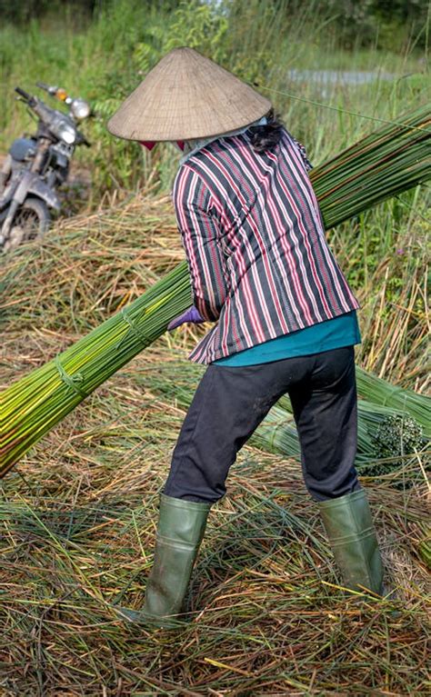 Farmer 4k Photos Download The Best Free Farmer 4k Stock Photos And Hd Images