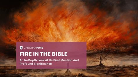 Fire in the Bible: An In-depth Look at Its First Mention and Profound ...