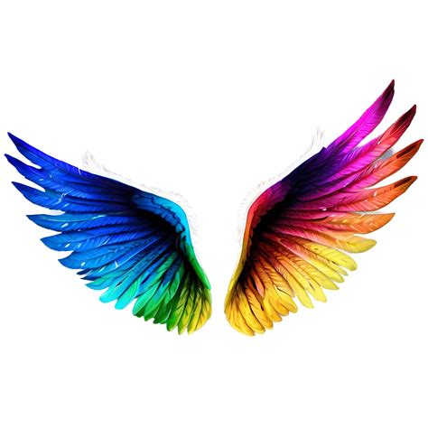 Download Colorful Wings Png 05032024