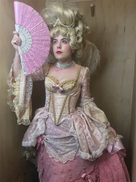 Marie Antoinette Adult Costume 9 Snog The Frog