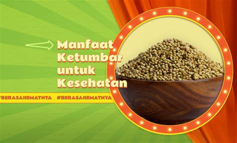 5 Manfaat Ketumbar Bagi Kesehatan Yang Perlu Diketahui