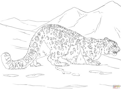 Snow Leopard Hunting coloring page | Free Printable Coloring Pages