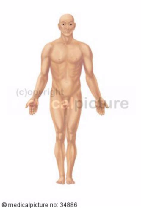 Male Naked Body Doccheck