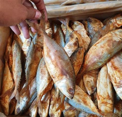 8 Jenis Ikan Asin Yang Cocok Jadi Lauk Makanmu