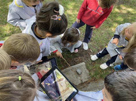 La Curiosidad Motor Del Aprendizaje En El Aula