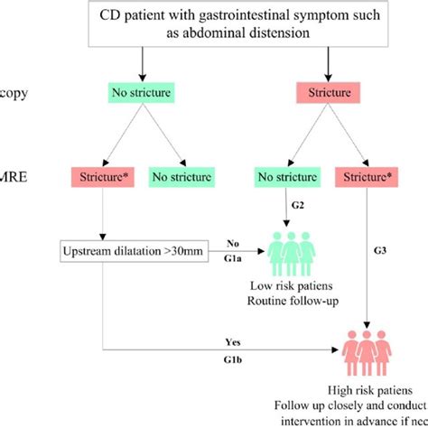 Proposed Algorithm For Individualized Follow Up In Ileal Strictures In