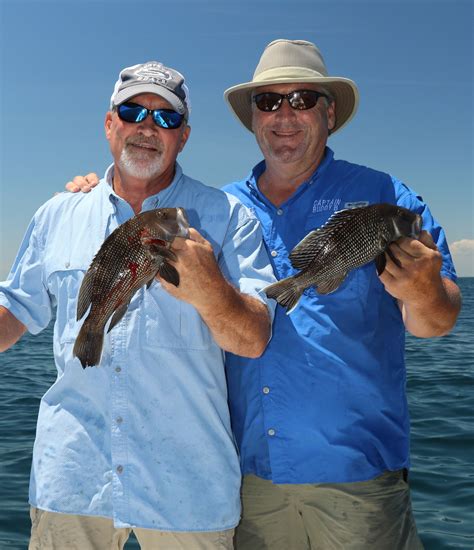 December Is Prime Time To Catch Big Black Sea Bass On Nearshore Livebottom Of South Carolinas Coast