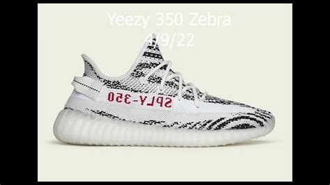 Yeezy 350 Zebra Wrath Live Cop YouTube