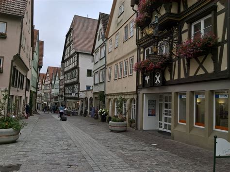 Wandern Von Bad Wimpfen Ber Bad Rappenau Nach Hohenstadt Tour