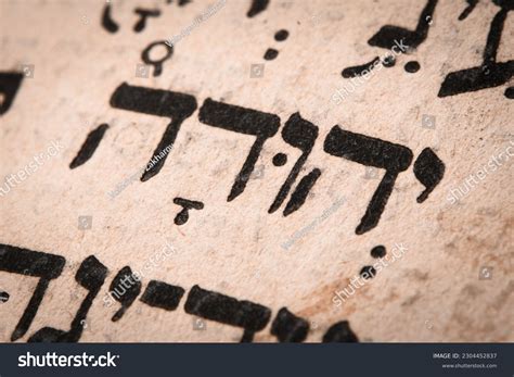 16 Judah Name Images Stock Photos Vectors Shutterstock