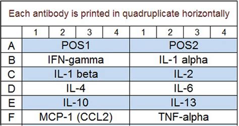 Rat Inflammation Array Q1