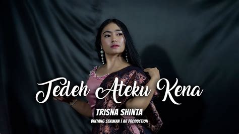 Lagu Karo Terbaru Tedeh Ateku Kena T A K Trisna Shinta