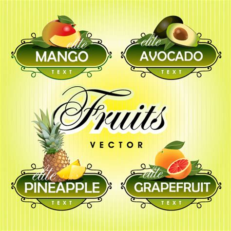 Fruit With Vegetables Labels Design Set Vectors Graphic Art Designs In