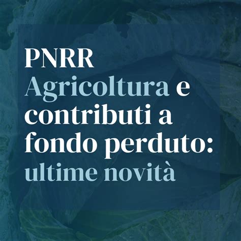 Pnrr I Contributi A Fondo Perduto Nell Agricoltura Ultime Novit