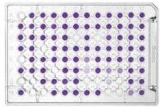 Microbial Identification Microplates Biolog