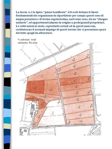 Analisi Eseguite Dalla Classe A Su Campioni Prelevati Il Ppt Scaricare