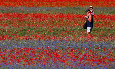 Primavera Italiana Quais Lugares Visitar