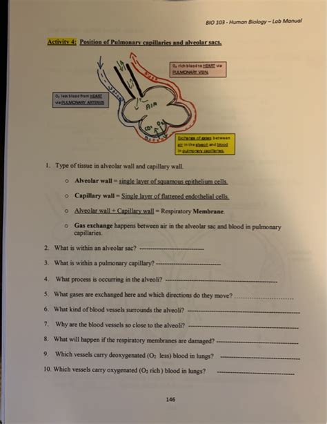 Solved BIO 103 Human Biology Lab Manual Activity 4 Chegg