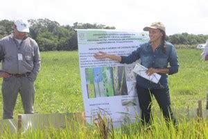 Uema Uema E Embrapa Realizam Dia De Campo Sobre Manejo Da Cultura De