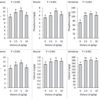 Phosphorus And Calcium Concentration In Plasma Muscle And Vertebrae