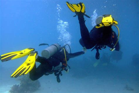 Scuba Diver Open Water La Herradura