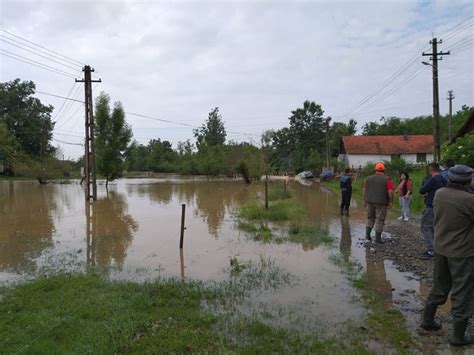 Cod Rosu De Ape Revarsate In Timis Zeci De Gospodarii Strazi Si