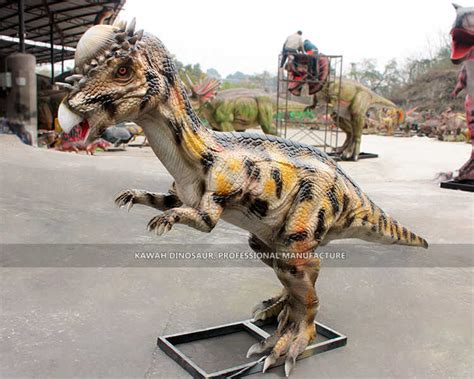 Dinosaur Factory Life Size Dinosaur Pachycephalosaurus Customized Ad 163 Manufacturer Expert In