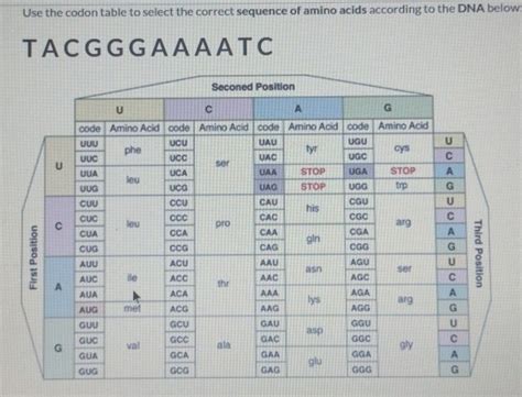 Solved Use The Codon Table To Select The Correct Sequence Of Amino