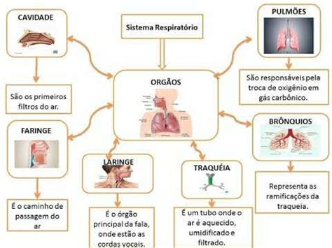 Mapa Mental Sistema respiratório YouTube