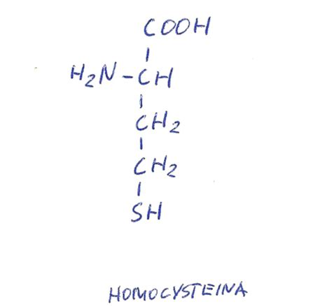 Fiszki Biochemia Wyk Ad Bia Ka Quizlet