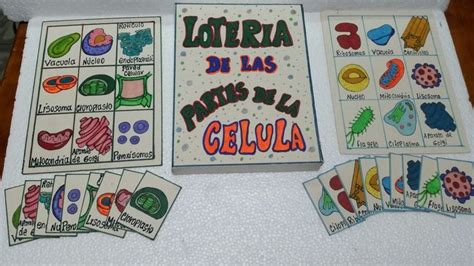 Aprender Acerca Imagen Loteria De La Tabla Periodica Con Dibujos 145152