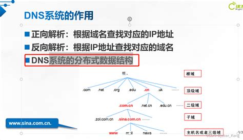 Dns域名解析：把域名变成ip地址域名解析ip Csdn博客