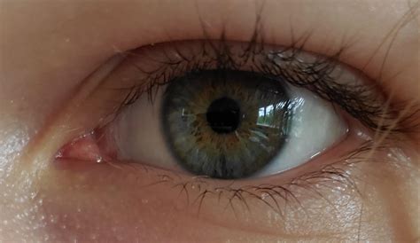 My greenish grey eyes with yellow around the iris :) : r/eyes