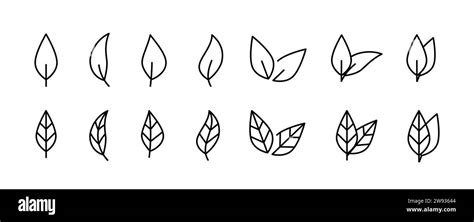 Leaf Line Icon Leaves Natural Foliage Leafage Sign Collection Leaf