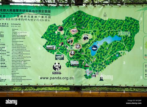 Map, panda breeding station near Chengdu, China, Asia Stock Photo - Alamy